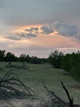 Sierra Mountain Ranch Arizona View
