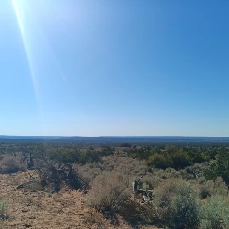 Sierra Mountain Ranch Arizona View